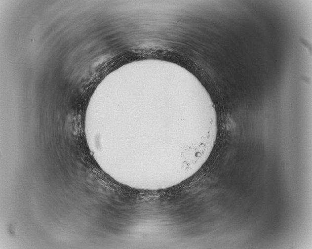 X0000103910965200810031209