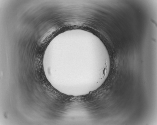X0000103910967200810031209