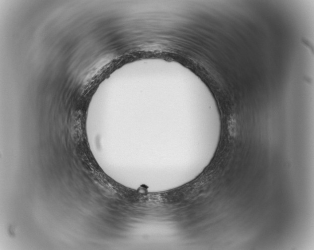 X0000103910968200810031209