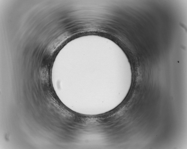 X0000103910969200810031209