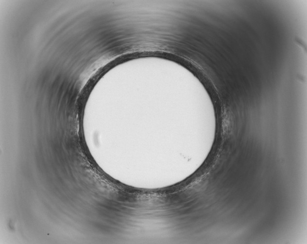 X0000103910973200810031208
