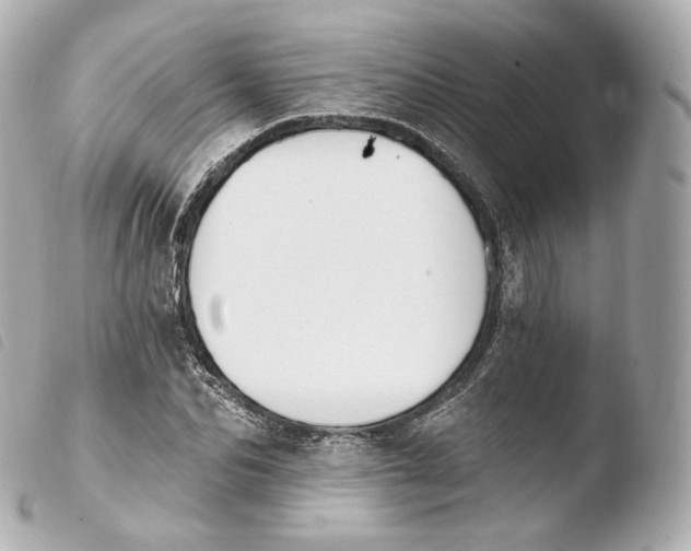 X0000103910974200810031208
