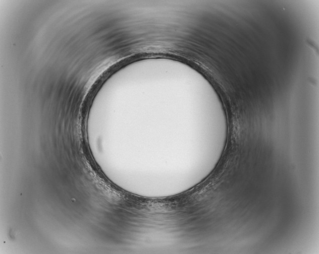X0000103910976200810031208