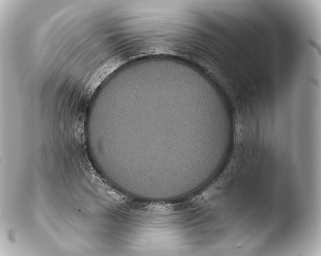 X0000103910977200810031208