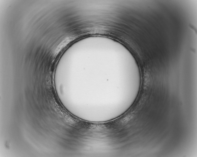 X0000103910978200810031208