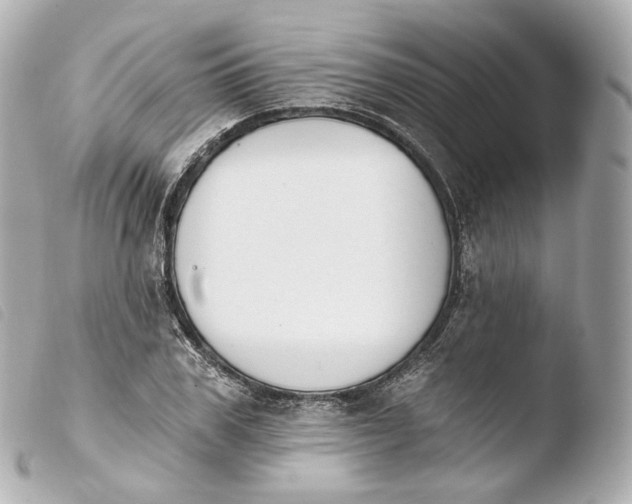 X0000103910979200810031208
