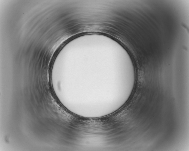 X0000103910980200810031208