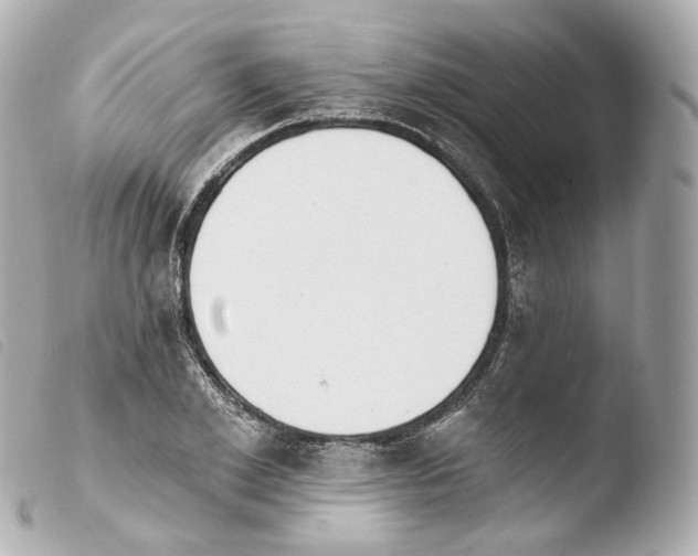 X0000103910981200810031208