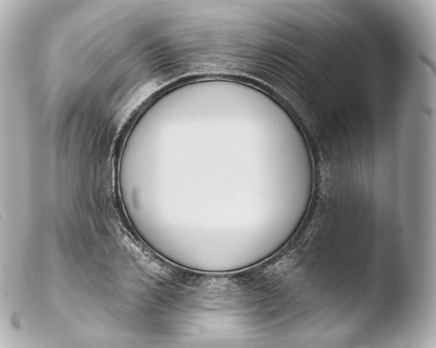 X0000103910982200810031208