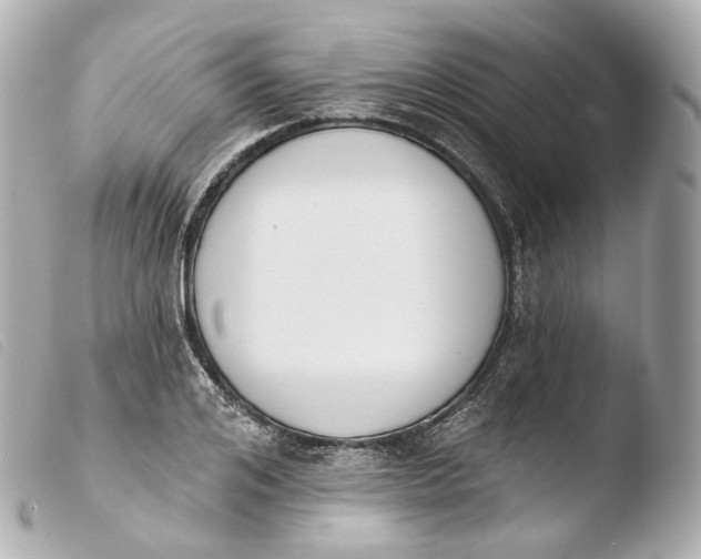 X0000103910984200810031208
