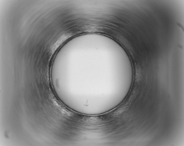 X0000103910986200810031208