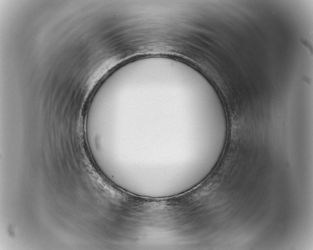 X0000103910990200810031208