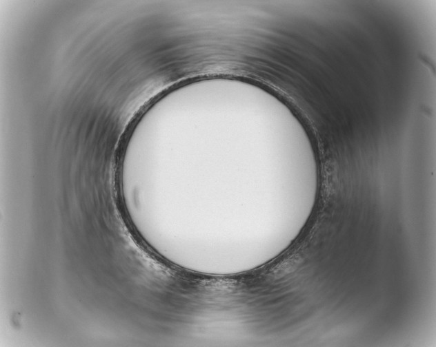 X0000103910991200810031208