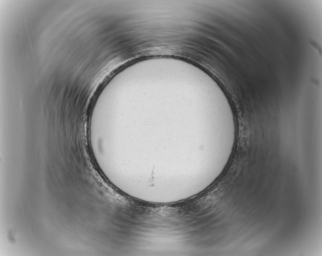 X0000103910992200810031208