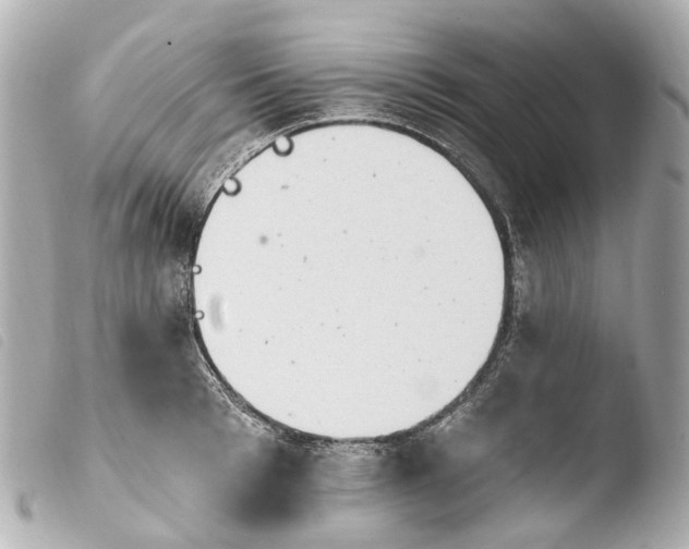 X0000103910993200810031208