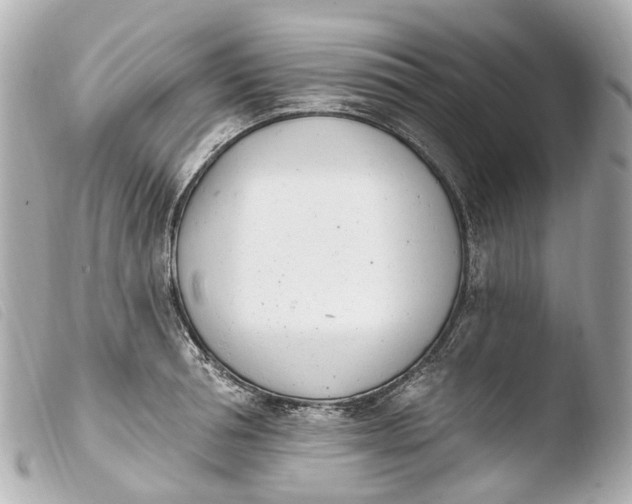 X0000103910994200810031208