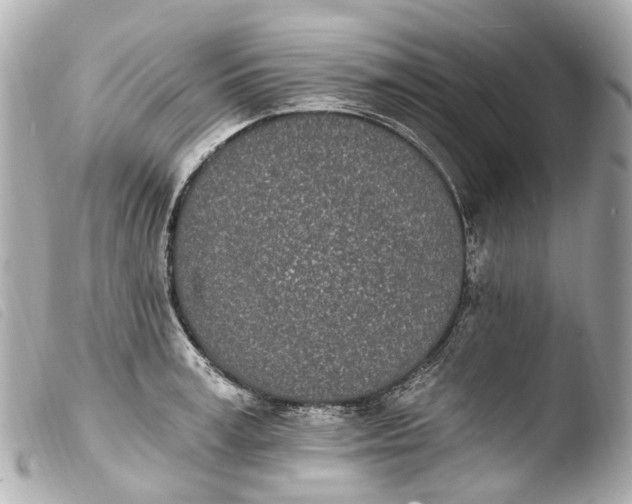 X0000103910995200810031208