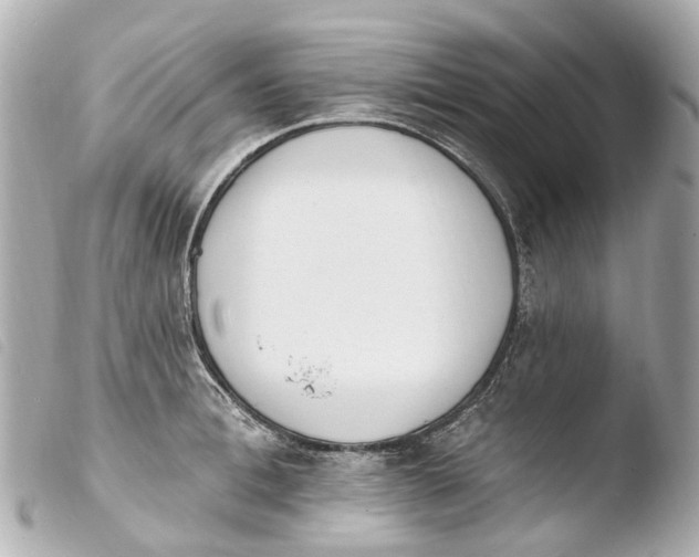 X0000103910996200810031208