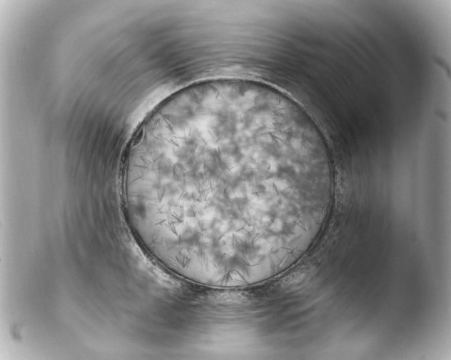 X0000103910998200810031208