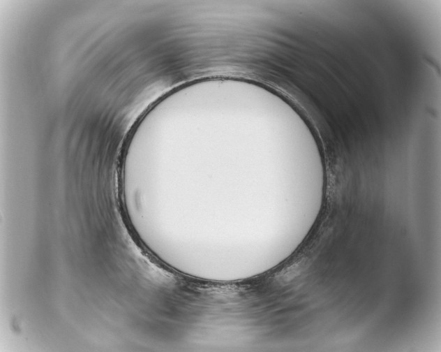 X0000103910999200810031208