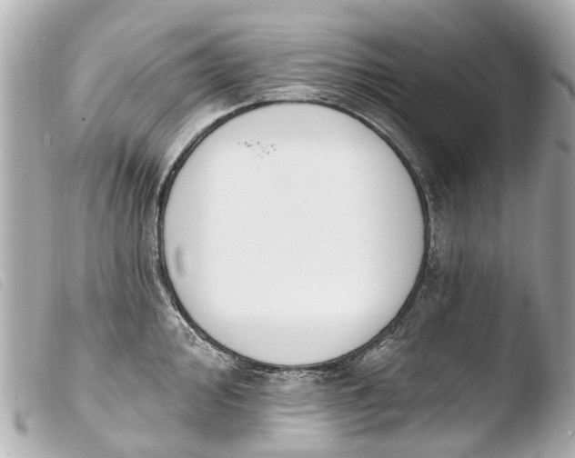 X0000103911000200810031208