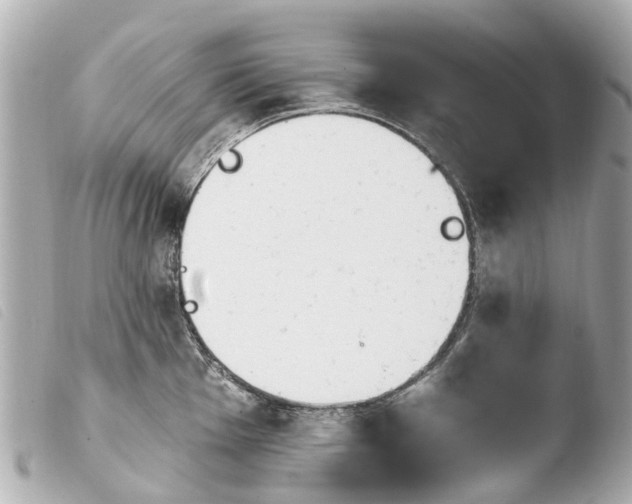X0000103911001200810031208