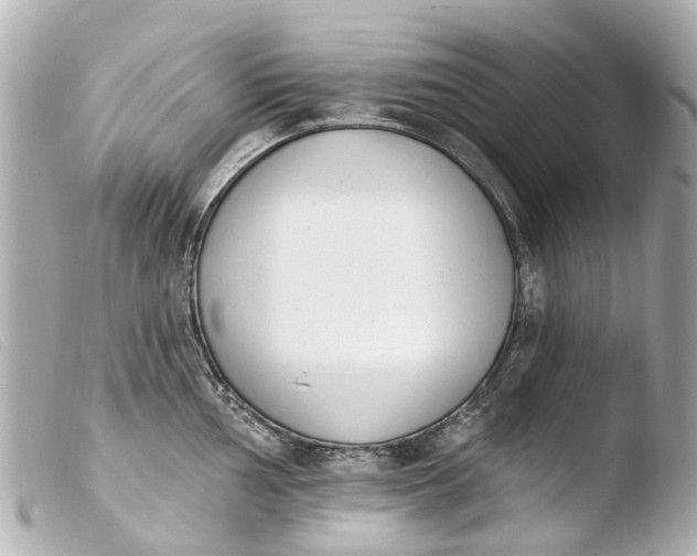 X0000103911002200810031208