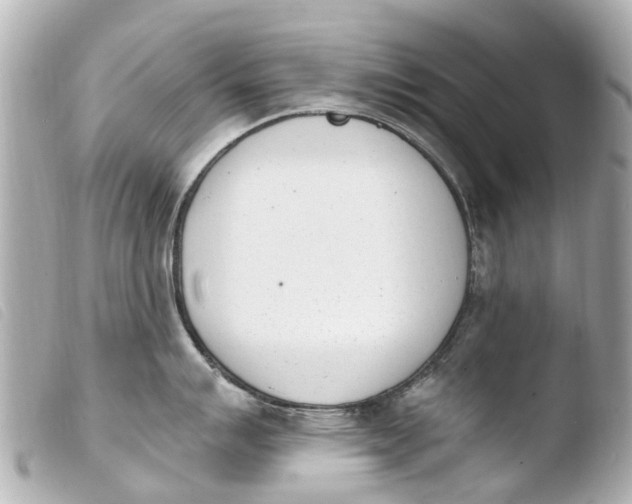 X0000103911007200810031208