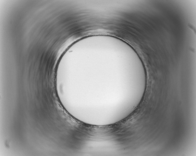 X0000103911008200810031208