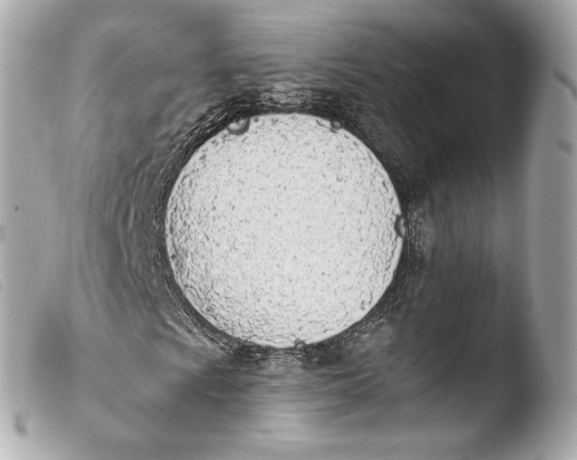 X0000103911009200810031207
