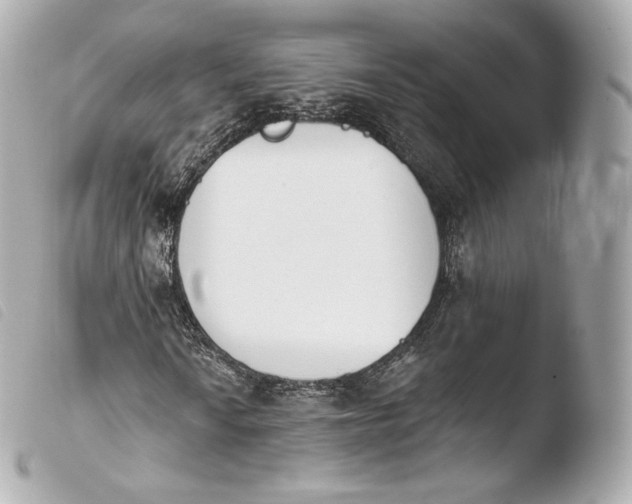 X0000103911010200810031207