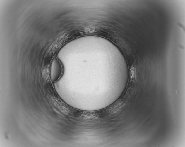 X0000103911011200810031207