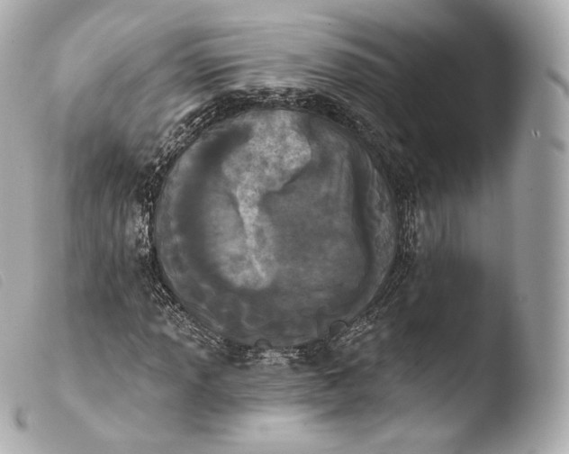 X0000103911013200810031207