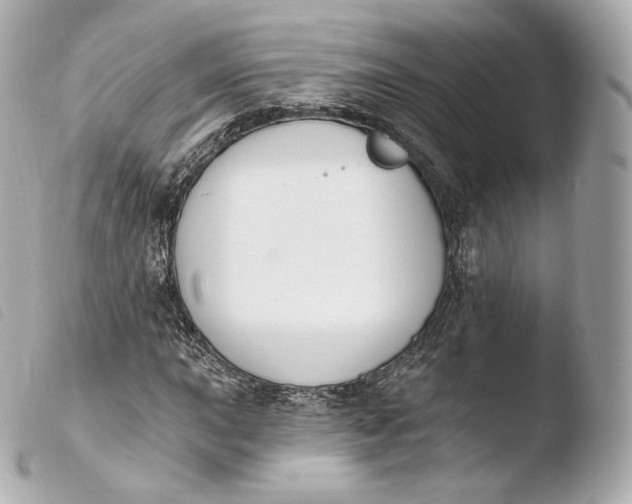 X0000103911015200810031207