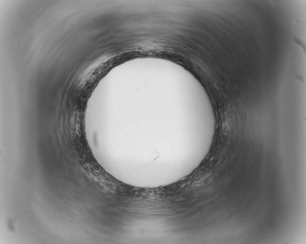 X0000103911016200810031207