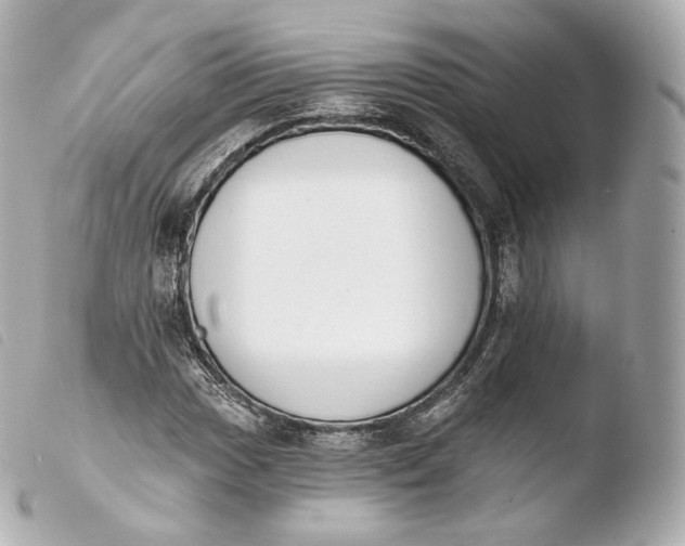 X0000103911017200810031207