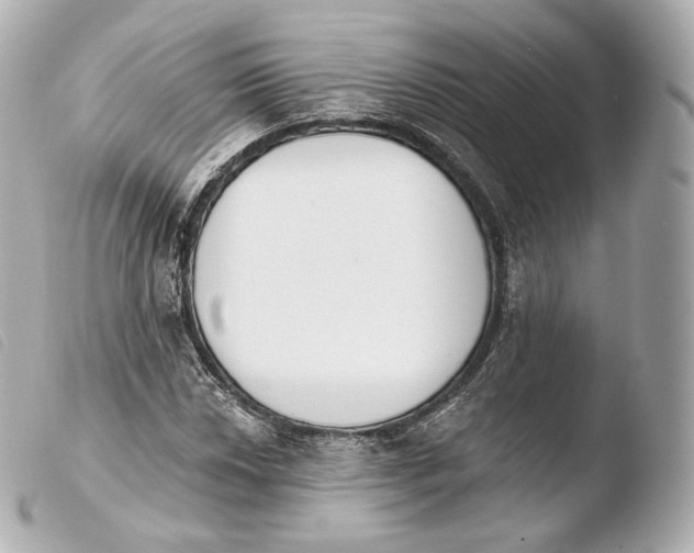 X0000103911018200810031207