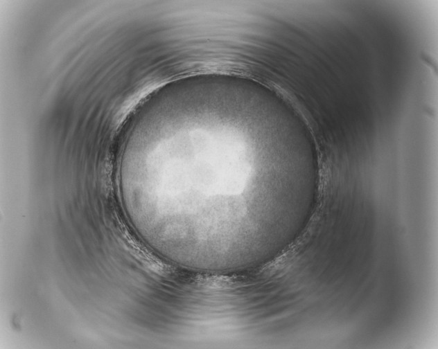 X0000103911019200810031207