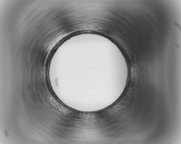 X0000103911020200810031207