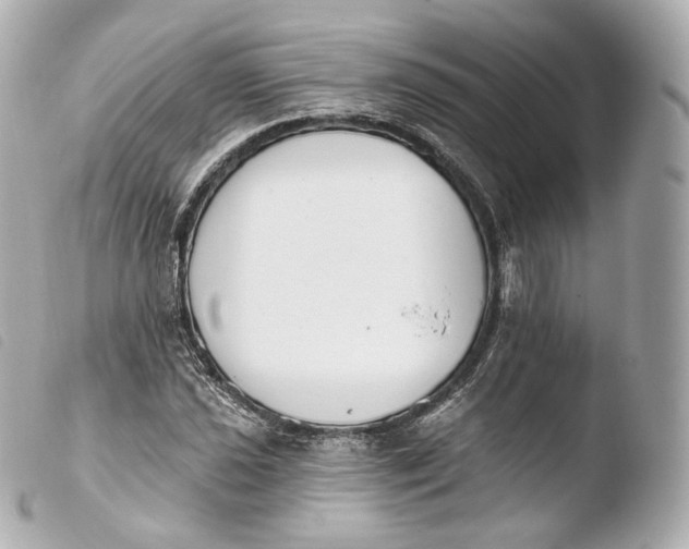 X0000103911021200810031207