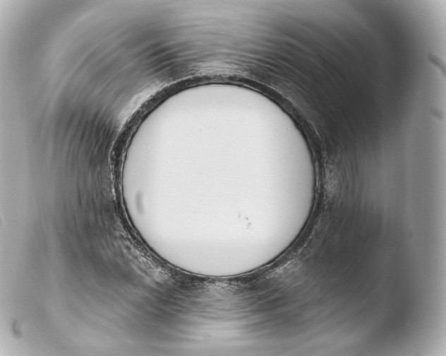 X0000103911022200810031207