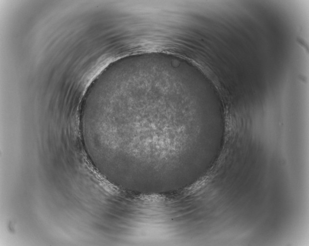 X0000103911023200810031207