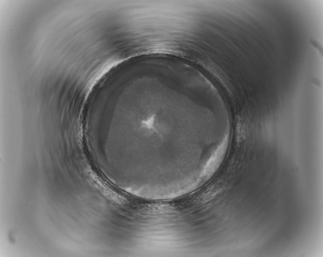 X0000103911024200810031207