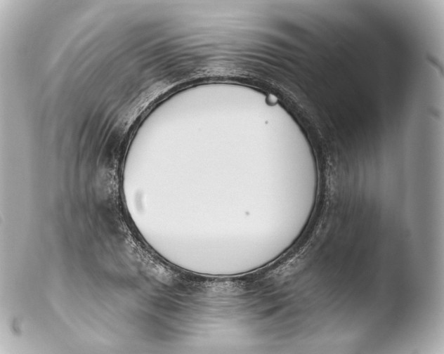 X0000103911025200810031207