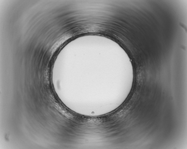 X0000103911026200810031207