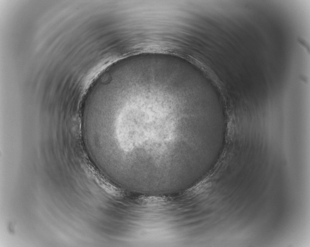 X0000103911027200810031207