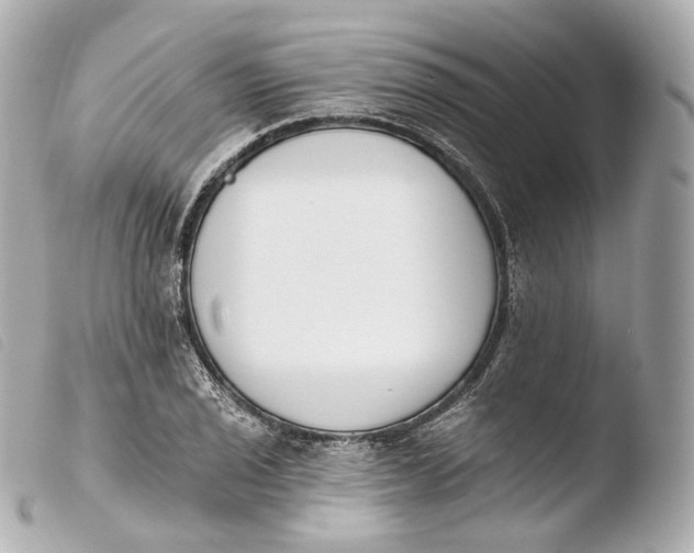 X0000103911029200810031207