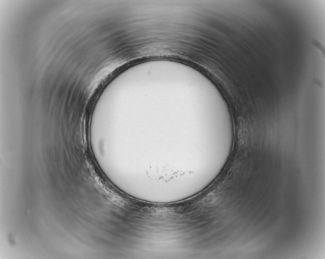 X0000103911030200810031207