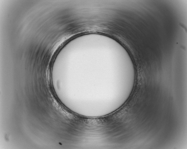 X0000103911032200810031207