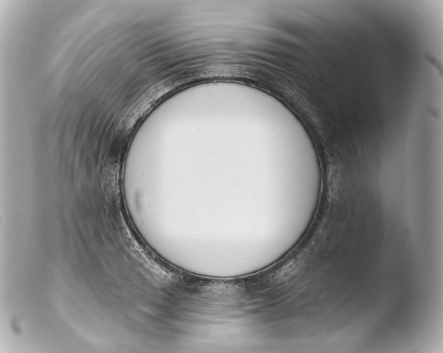X0000103911033200810031207